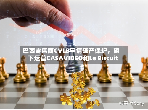 巴西零售商CVLB申请破产保护，旗下运营CASAVIDEO和Le Biscuit-第2张图片