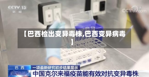 【巴西检出变异毒株,巴西变异病毒】