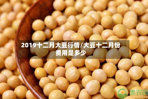 2019十二月大豆行情/大豆十二月份费用是多少-第3张图片