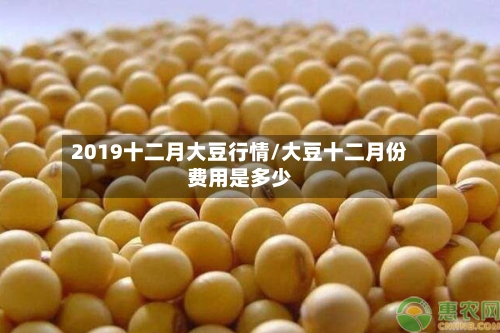 2019十二月大豆行情/大豆十二月份费用是多少-第2张图片