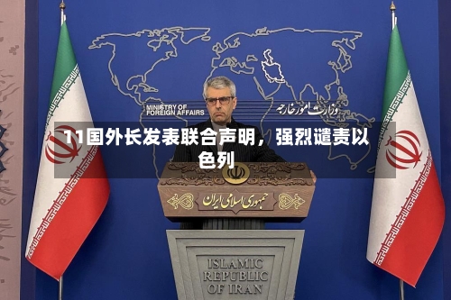11国外长发表联合声明	，强烈谴责以色列-第2张图片