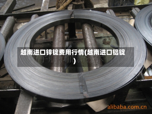 越南进口锌锭费用行情(越南进口铝锭)