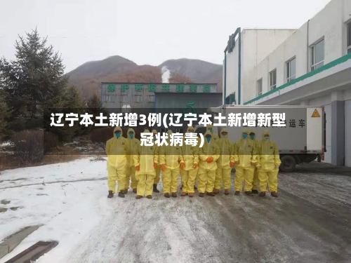 辽宁本土新增3例(辽宁本土新增新型冠状病毒)-第2张图片