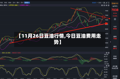 【11月26日豆油行情,今日豆油费用走势】