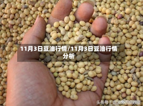 11月3日豆油行情/11月3日豆油行情分析