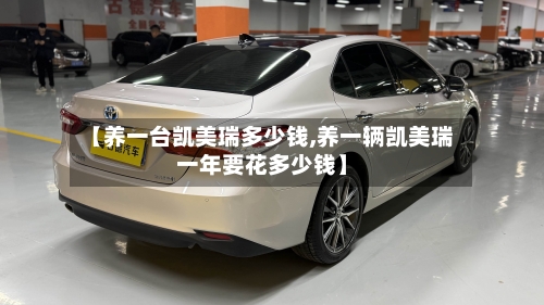 【养一台凯美瑞多少钱,养一辆凯美瑞一年要花多少钱】
