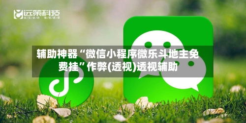 辅助神器“微信小程序微乐斗地主免费挂	”作弊(透视)透视辅助-第2张图片