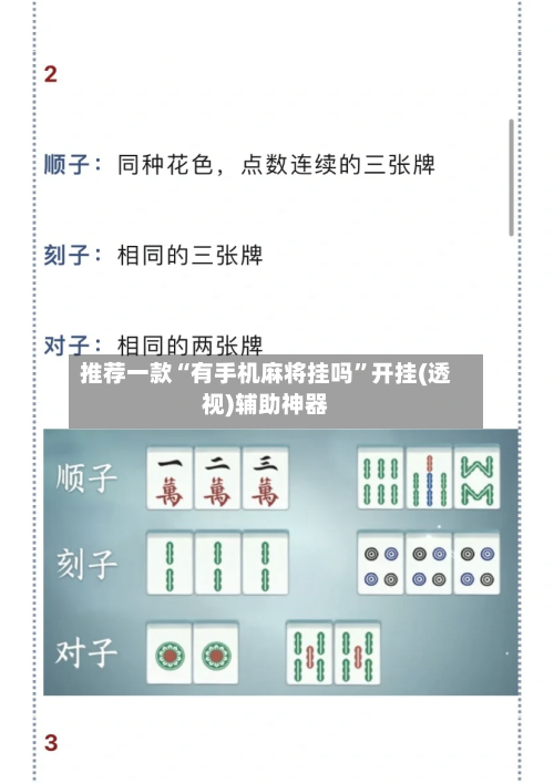 推荐一款“有手机麻将挂吗”开挂(透视)辅助神器-第3张图片