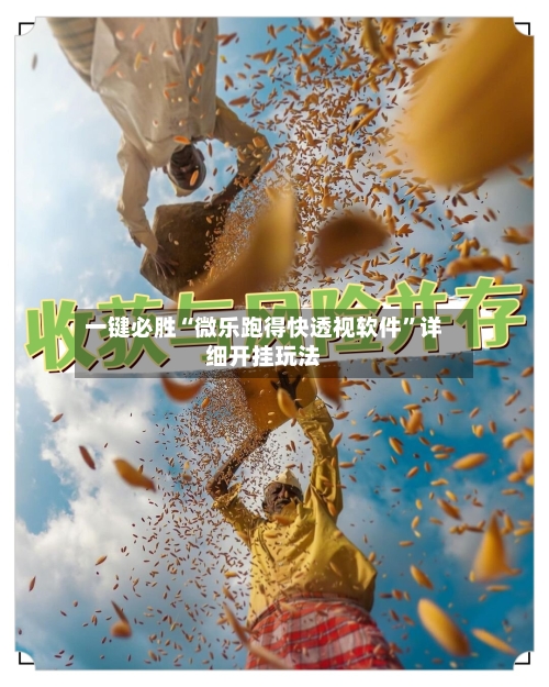 一键必胜“微乐跑得快透视软件”详细开挂玩法-第2张图片