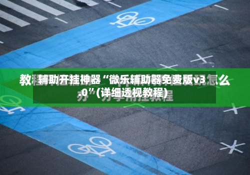 辅助开挂神器“微乐辅助器免费版v3.0”(详细透视教程)-第3张图片