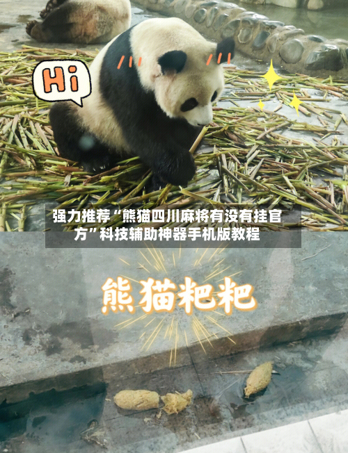 强力推荐“熊猫四川麻将有没有挂官方	”科技辅助神器手机版教程-第3张图片