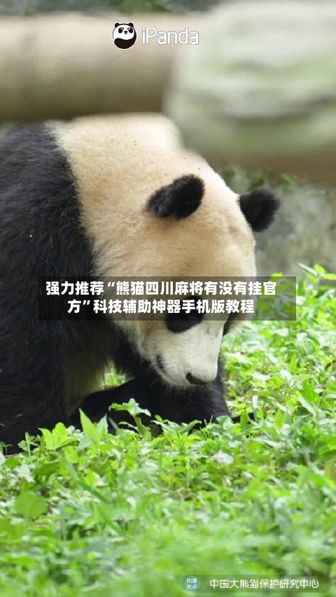 强力推荐“熊猫四川麻将有没有挂官方”科技辅助神器手机版教程-第2张图片