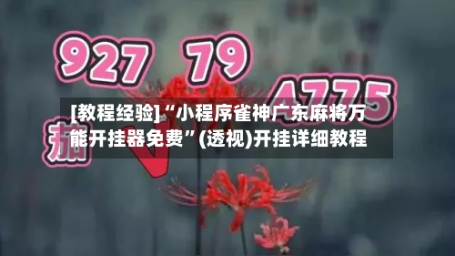 [教程经验]“小程序雀神广东麻将万能开挂器免费	”(透视)开挂详细教程-第3张图片