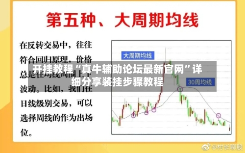 开挂教程“真牛辅助论坛最新官网”详细分享装挂步骤教程-第3张图片