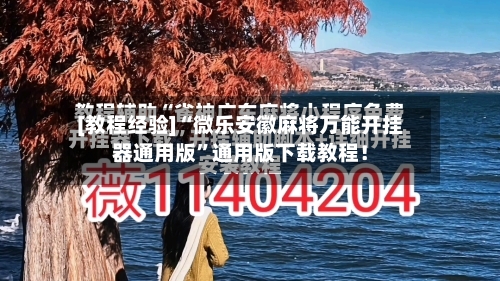 [教程经验]“微乐安徽麻将万能开挂器通用版	”通用版下载教程！-第2张图片