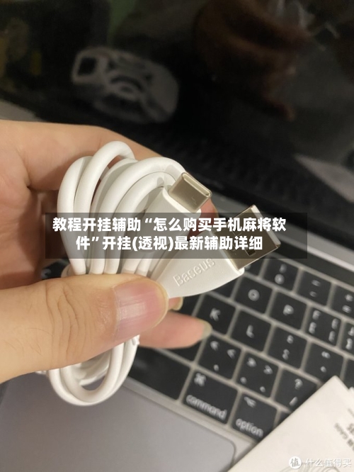 教程开挂辅助“怎么购买手机麻将软件	”开挂(透视)最新辅助详细-第2张图片