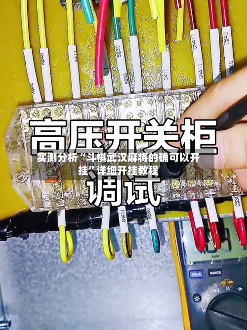 实测分析“斗棋武汉麻将的确可以开挂	”详细开挂教程-第2张图片