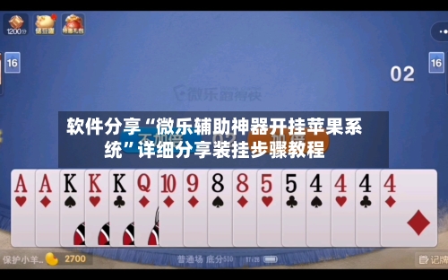 软件分享“微乐辅助神器开挂苹果系统”详细分享装挂步骤教程