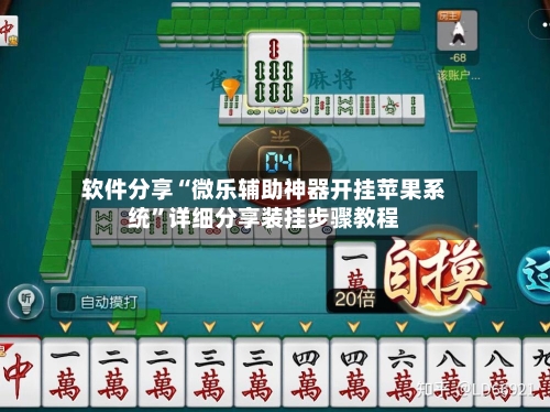 软件分享“微乐辅助神器开挂苹果系统”详细分享装挂步骤教程-第2张图片