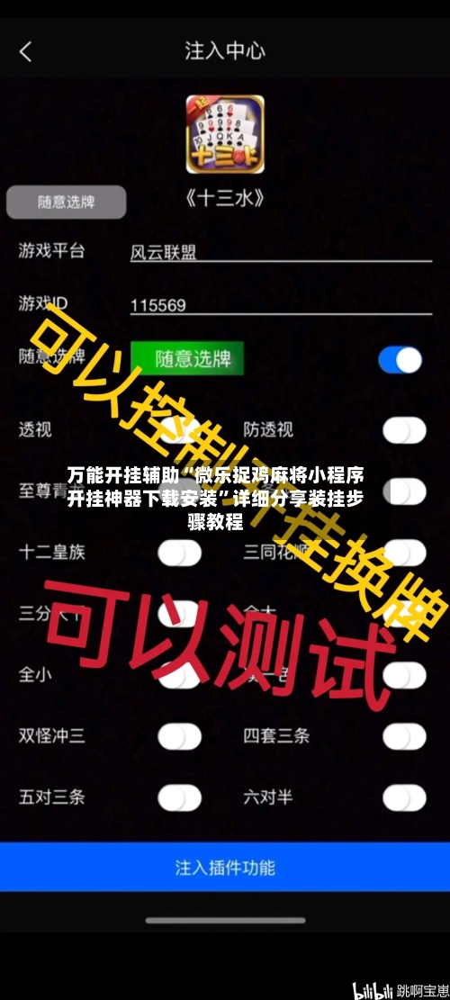 万能开挂辅助“微乐捉鸡麻将小程序开挂神器下载安装”详细分享装挂步骤教程-第2张图片
