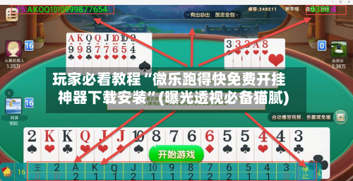 玩家必看教程“微乐跑得快免费开挂神器下载安装”(曝光透视必备猫腻)-第2张图片
