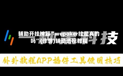 辅助开挂神器“wepoker挂是真的吗”(作弊)辅助透视教程-第2张图片