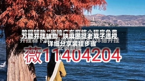 万能开挂辅助“陕麻圈捉老麻子透视”详细分享装挂步骤-第2张图片