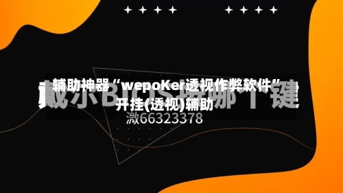 辅助神器“wepoKer透视作弊软件”开挂(透视)辅助-第2张图片