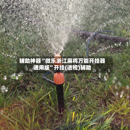 辅助神器“微乐浙江麻将万能开挂器通用版”开挂(透视)辅助-第2张图片