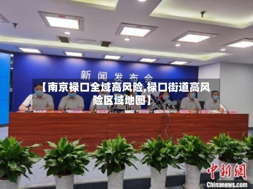【南京禄口全域高风险,禄口街道高风险区域地图】-第2张图片
