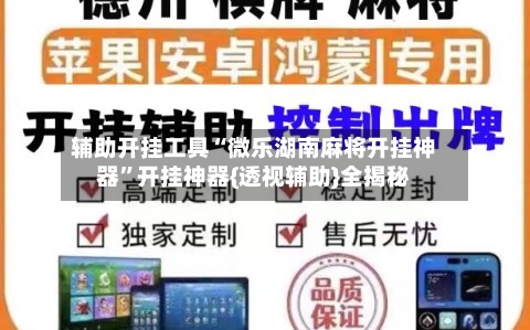 辅助开挂工具“微乐湖南麻将开挂神器”开挂神器{透视辅助}全揭秘-第3张图片