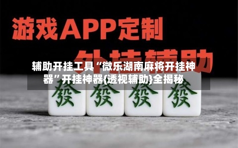 辅助开挂工具“微乐湖南麻将开挂神器”开挂神器{透视辅助}全揭秘-第2张图片