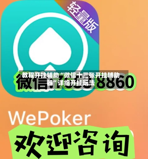 教程开挂辅助“微信十三张开挂辅助器”详细开挂玩法-第2张图片