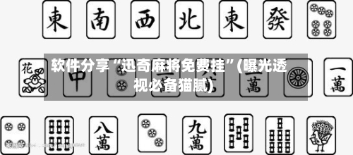 软件分享“迅奇麻将免费挂”(曝光透视必备猫腻)-第2张图片
