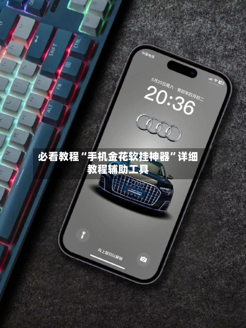 必看教程“手机金花软挂神器	”详细教程辅助工具-第2张图片