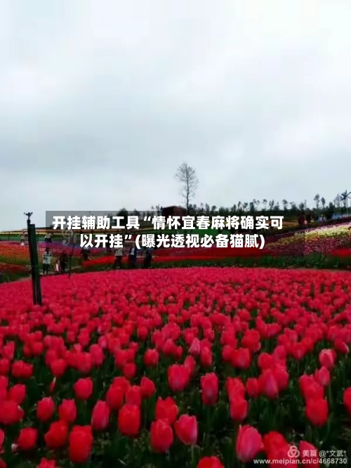 开挂辅助工具“情怀宜春麻将确实可以开挂”(曝光透视必备猫腻)