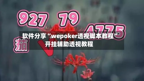 软件分享“wepoker透视脚本教程”开挂辅助透视教程-第2张图片