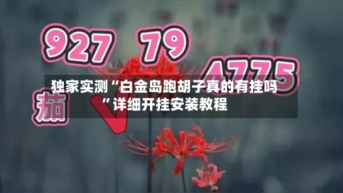 独家实测“白金岛跑胡子真的有挂吗”详细开挂安装教程