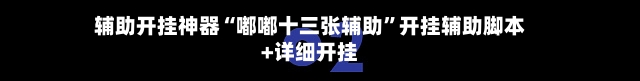 辅助开挂神器“嘟嘟十三张辅助”开挂辅助脚本+详细开挂-第2张图片