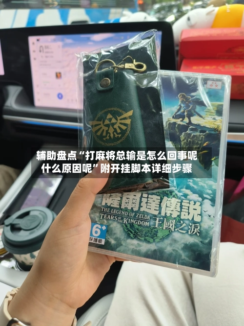 辅助盘点“打麻将总输是怎么回事呢什么原因呢”附开挂脚本详细步骤-第3张图片
