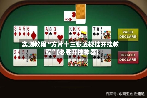实测教程“方片十三张透视挂开挂教程”(必胜开挂神器)-第2张图片