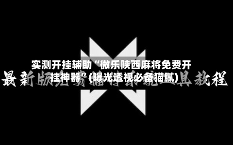 实测开挂辅助“微乐陕西麻将免费开挂神器”(曝光透视必备猫腻)