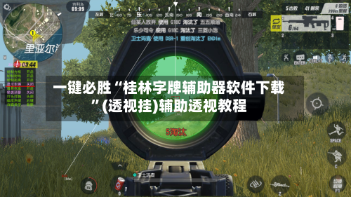 一键必胜“桂林字牌辅助器软件下载	”(透视挂)辅助透视教程-第2张图片