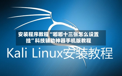 安装程序教程“嘟嘟十三张怎么设置挂”科技辅助神器手机版教程-第2张图片