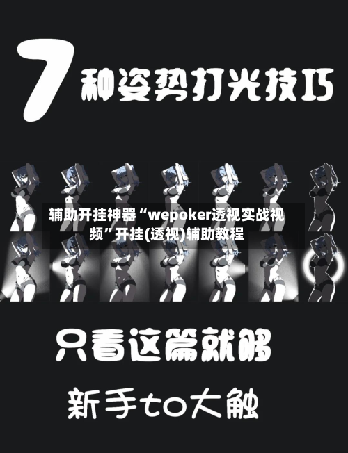 辅助开挂神器“wepoker透视实战视频”开挂(透视)辅助教程-第2张图片