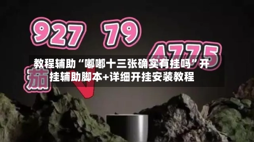 教程辅助“嘟嘟十三张确实有挂吗”开挂辅助脚本+详细开挂安装教程