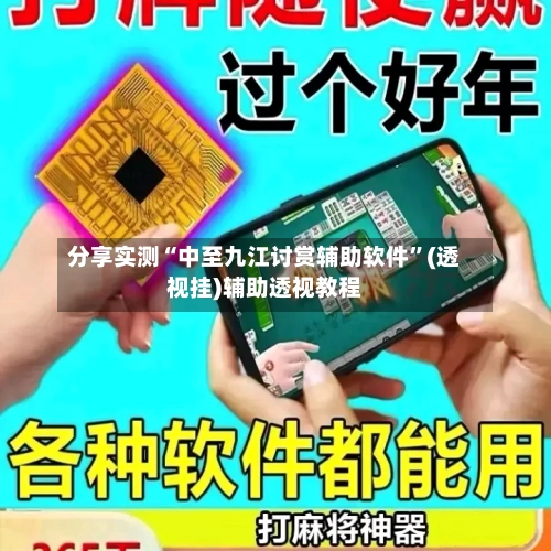 分享实测“中至九江讨赏辅助软件	”(透视挂)辅助透视教程-第3张图片