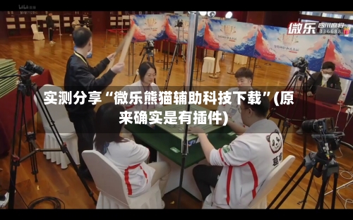实测分享“微乐熊猫辅助科技下载	”(原来确实是有插件)-第2张图片