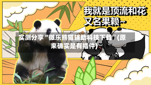 实测分享“微乐熊猫辅助科技下载”(原来确实是有插件)-第3张图片
