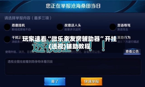 玩家速看“微乐亲友房辅助器”开挂(透视)辅助教程-第2张图片